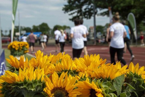 2. Laufend gegen Krebs (Unterhaltung / Freizeit | Dresden)