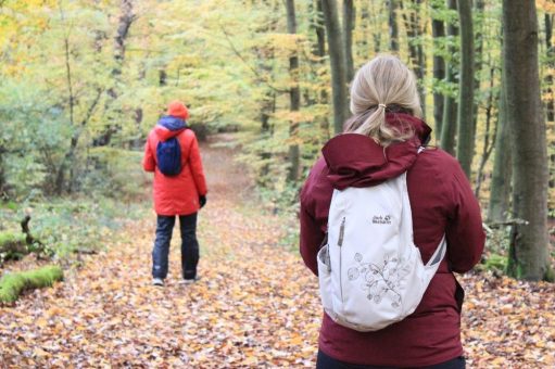 Natur-Coach-Ausbildung 2 (Herbst) (Seminar | Stadtprozelten)