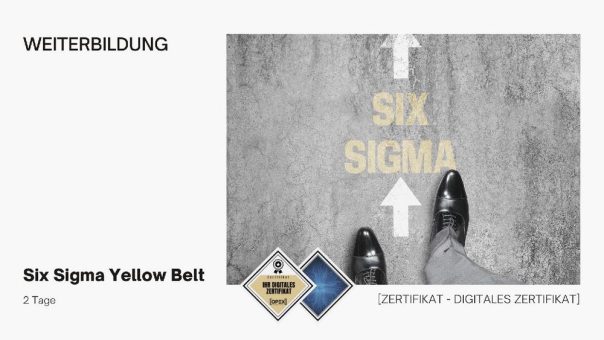 Six Sigma Yellow Belt Training | Seminar | Ausbildung (Seminar | Graz)