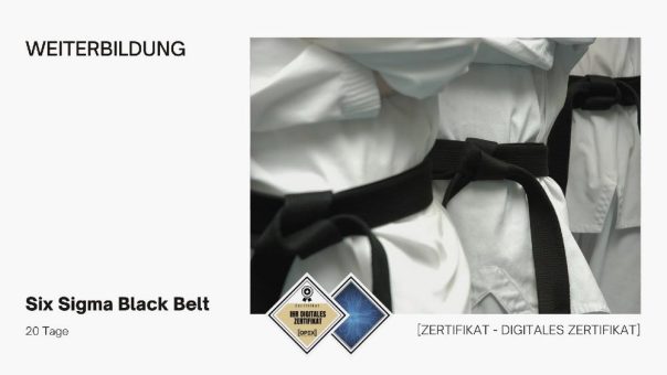 Six Sigma Black Belt Training Ausbildung (20 Tage) (Seminar | Stuttgart)