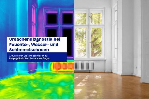 Ursachendiagnostik bei Feuchte-, Wasser- und Schimmelschäden (Webinar | Online)