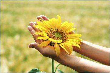 Resilienz: ﻿Stress bewältigen und innere Stärken aktivieren (Seminar | Freiburg im Breisgau)