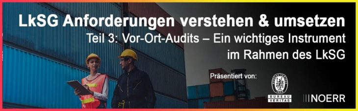 Teil 3: Vor-Ort-Audits – Ein wichtiges Instrument im Rahmen des LkSG (Webinar | Online)