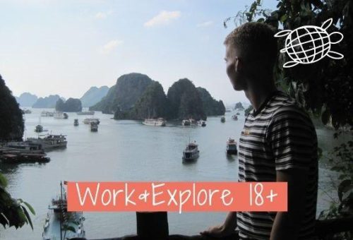 Online-Infoabend: Work&Explore 18+ (Webinar | Online)