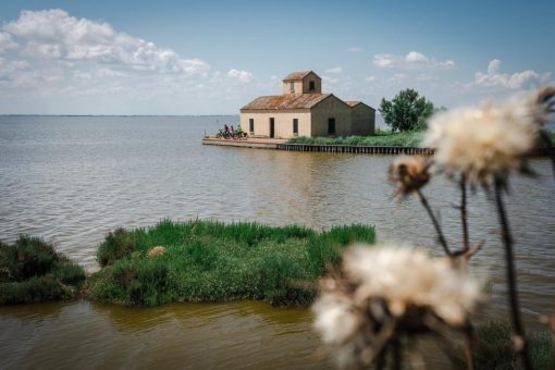 Ferrara, Comacchio & Po Delta auf der Reisemesse F.RE.E in München (Konferenz | München)